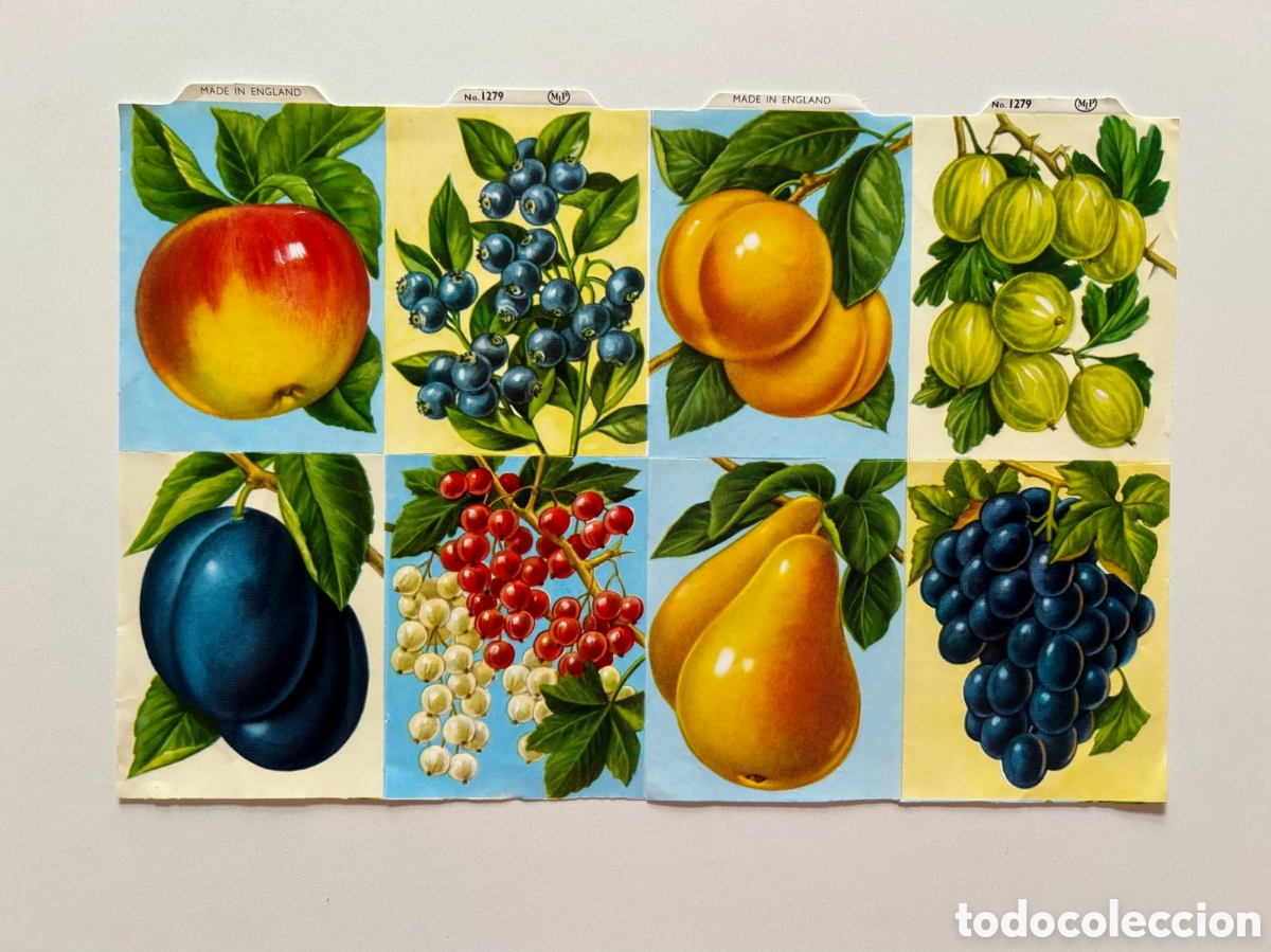 Coleccionismo cromos troquelados antiguos: L&aacute;mina CROMOS TROQUELADOS ingleses MLP 1279 frutas NUEVA colecci&oacute;n picar juego infantiles ni&ntilde;as