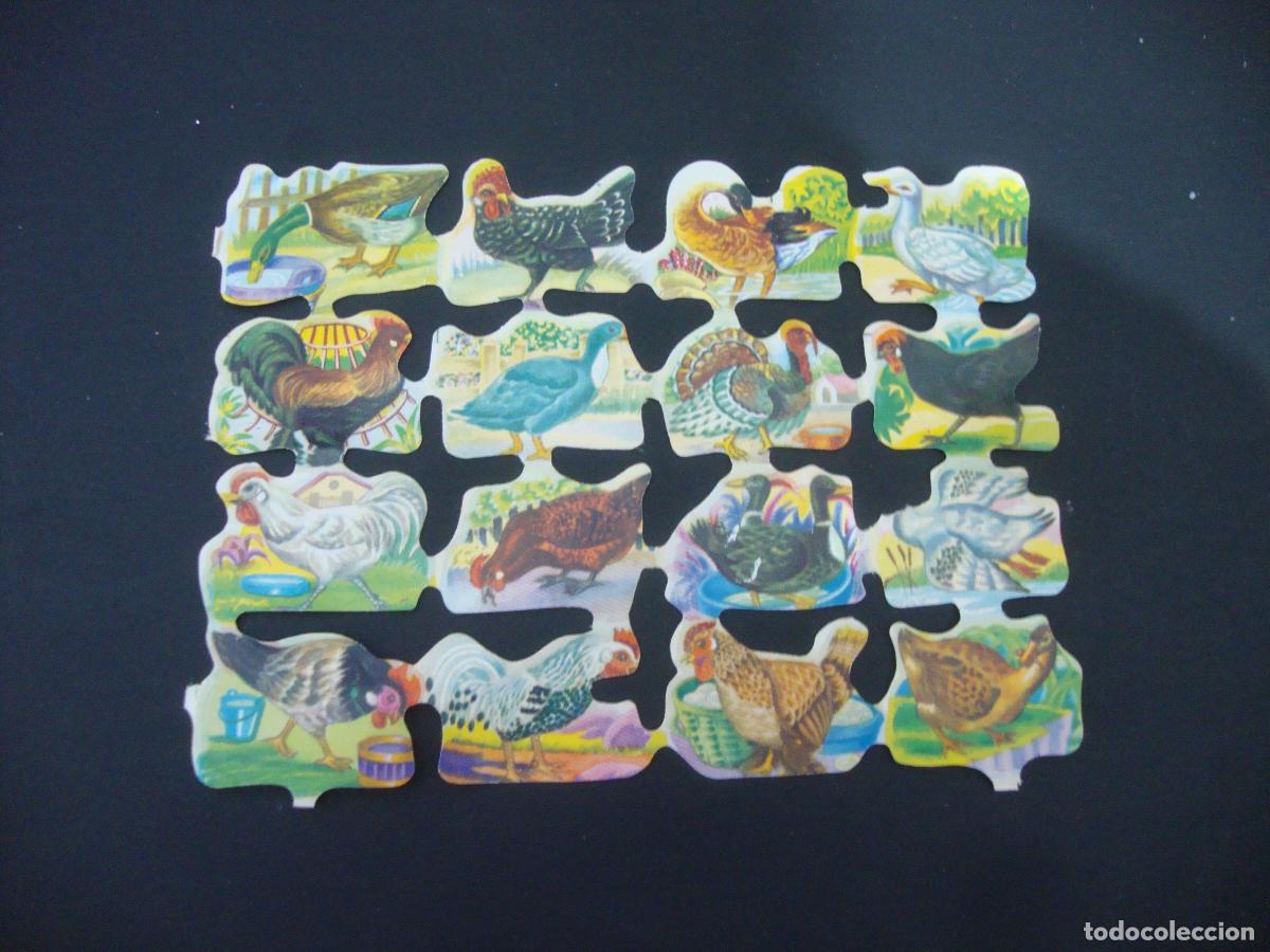 Coleccionismo cromos troquelados antiguos: CROMOS TROQUELADOS GALLINAS PATOS