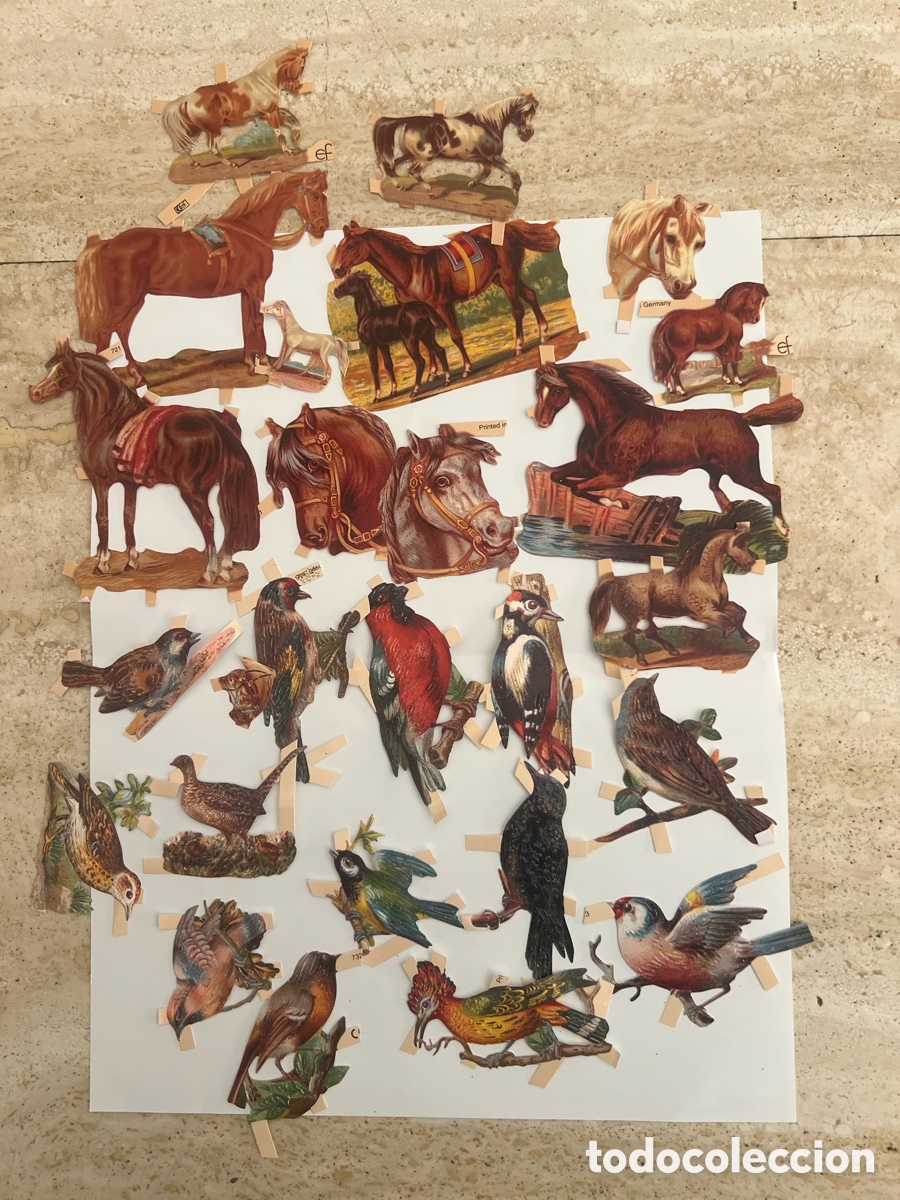 Collectionnisme Cartes &agrave; collectionner massicot&eacute;es anciennes: Cromos troquelados animales