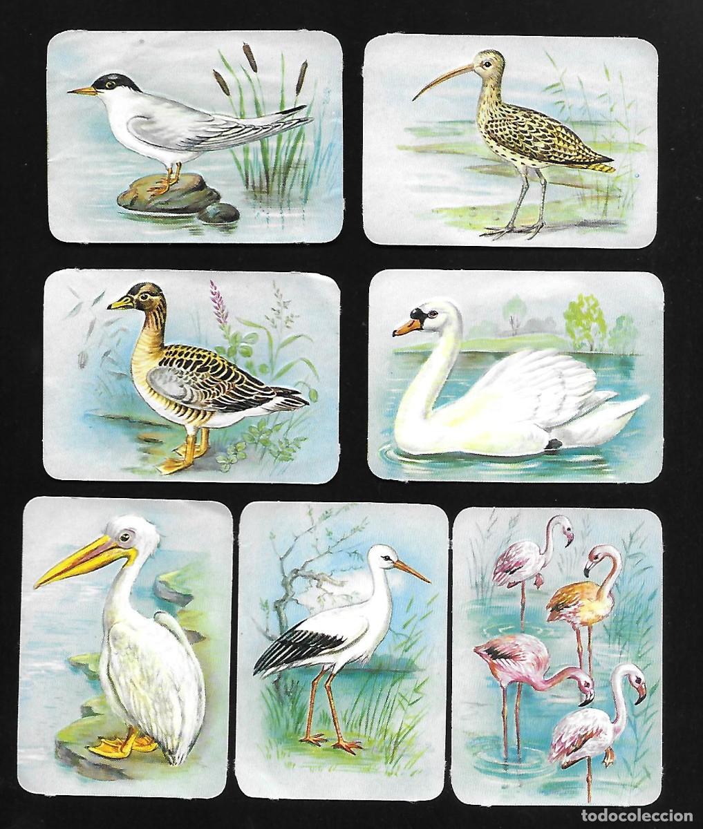 Coleccionismo cromos troquelados antiguos: CR086- AVES Y P&Aacute;JAROS - LOTE DE 7 DECROMOS KR&Uuml;GER-MIDE C/U APROXIMADAMENTE 7X5 CM