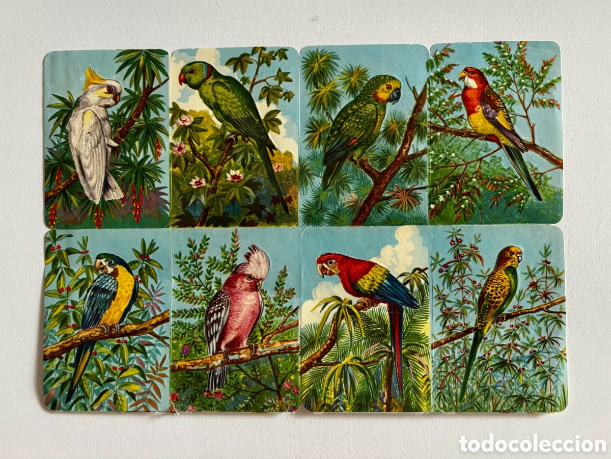Coleccionismo cromos troquelados antiguos: L&aacute;mina CROMOS TROQUELADOS alemanes KRUGER 99/16 animales relieve NUEVA colecci&oacute;n antigua infantil
