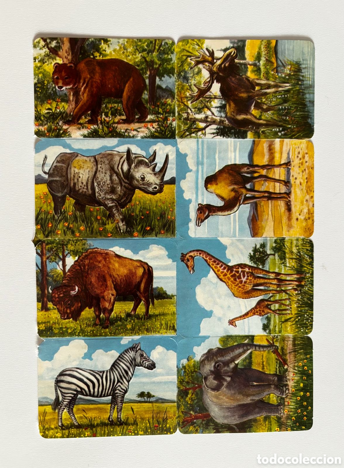 Coleccionismo cromos troquelados antiguos: L&aacute;mina CROMOS TROQUELADOS alemanes KRUGER 99/4 animales relieve NUEVA colecci&oacute;n antigua infantil