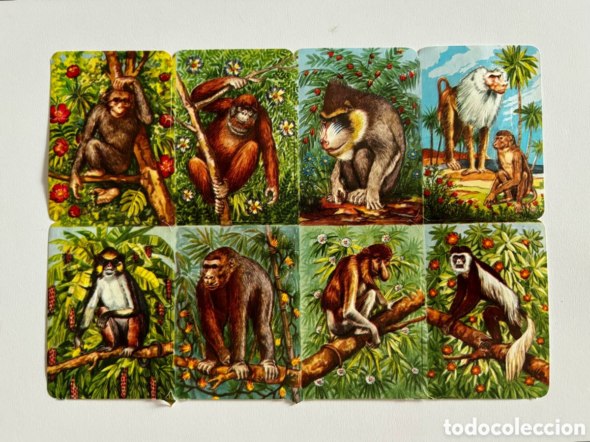Coleccionismo cromos troquelados antiguos: L&aacute;mina CROMOS TROQUELADOS alemanes KRUGER 99/4 animales relieve NUEVA colecci&oacute;n antigua infantil