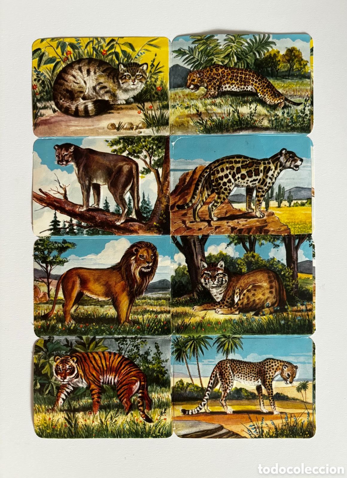 Coleccionismo cromos troquelados antiguos: L&aacute;mina CROMOS TROQUELADOS alemanes KRUGER 99/6 animales relieve NUEVA colecci&oacute;n antigua infantil