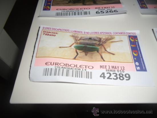 Cupones ONCE: CUPON OID 2012 MAYO 2 INSECTOS TABANO - Foto 1