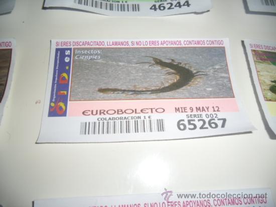 Cupones ONCE: CUPON OID 2012 MAYO 9 INSECTOS CIENPIES - Foto 1