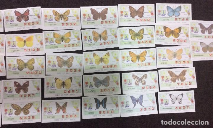 Cupones ONCE: Colecci&oacute;n de 47 cupones de la ONCE tem&aacute;tica de mariposas - Foto 2