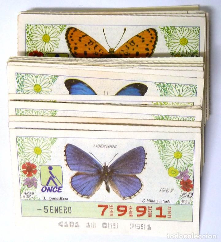 Cupones ONCE: CUPON ONCE. ENERO DE 1987. 0,50 EUROS UNIDAD. VER DIAS. CUPONES DE MARIPOSAS.