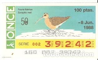 Cupones ONCE: Cup&oacute;n Once de 8-6-88. Fauna Ib&eacute;rica. Zarapito real. ref. 8-080688