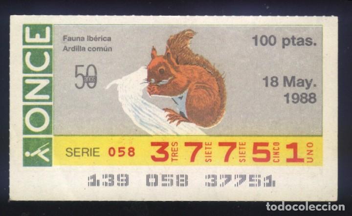 Cupones ONCE: A-8020- CUP&Oacute;N ONCE. 18 MAYO 1988. FAUNA IBERICA, ARDILLA COMUN.