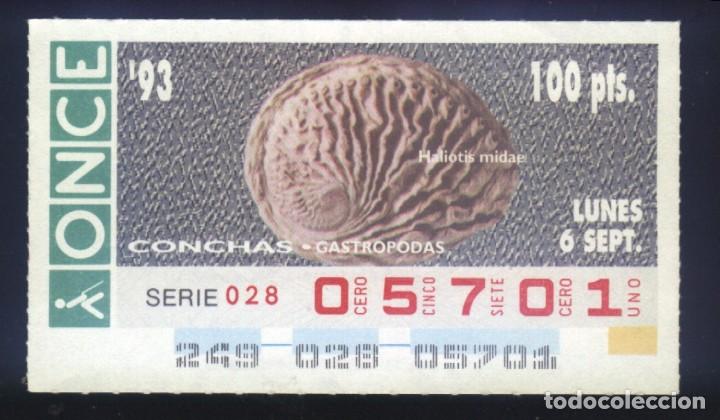 Cupones ONCE: A-8037- CUP&Oacute;N ONCE. 6 SEPTIEMBRE 1993. CONCHAS GASTROPODAS, HALIOTIS MIDAE.