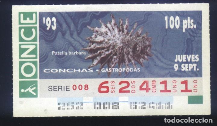 Cupones ONCE: A-8038- CUP&Oacute;N ONCE. 9 SEPTIEMBRE 1993. CONCHAS GASTROPODAS, PATELLA BARBARA.