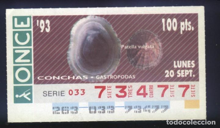 Cupones ONCE: A-8039- CUP&Oacute;N ONCE. 20 SEPTIEMBRE 1993. CONCHAS GASTROPODAS, PATELLA VULGATA.