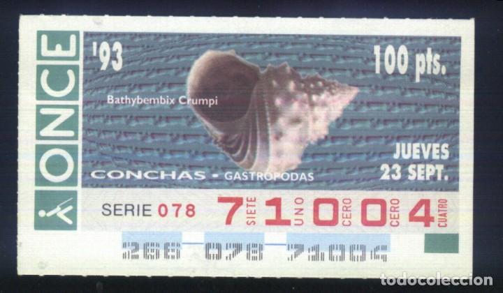 Cupones ONCE: A-8040- CUP&Oacute;N ONCE. 23 SEPTIEMBRE 1993. CONCHAS GASTROPODAS, BATHYBEMBIX CRUMPI.