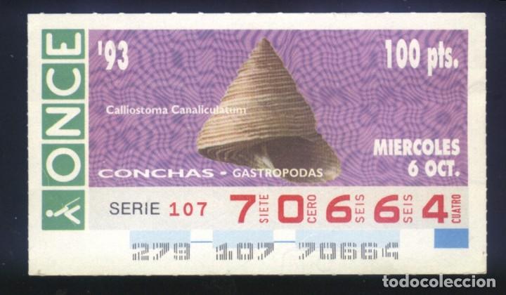 Cupones ONCE: A-8044- CUP&Oacute;N ONCE. 6 OCTUBRE 1993. CONCHAS GASTROPODAS, CALLIOSTOMA CANALICULATUM.