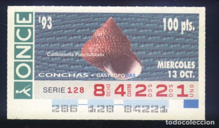 Cupones ONCE: A-8046- CUP&Oacute;N ONCE. 13 OCTUBRE 1993. CONCHAS GASTROPODAS, CALLIOSTOMA PUNCTULATUM.