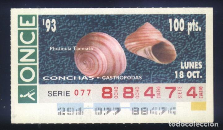 Cupones ONCE: A-8048- CUP&Oacute;N ONCE. 18 OCTUBRE 1993. CONCHAS GASTROPODAS, PHOTICULA TAENIATA.