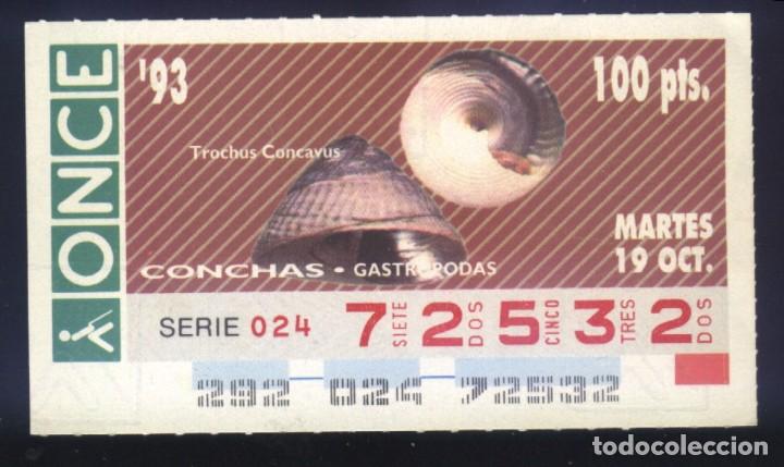 Cupones ONCE: A-8052- CUP&Oacute;N ONCE. 19 OCTUBRE 1993. CONCHAS GASTROPODAS, TROCHUS CONCAVUS.