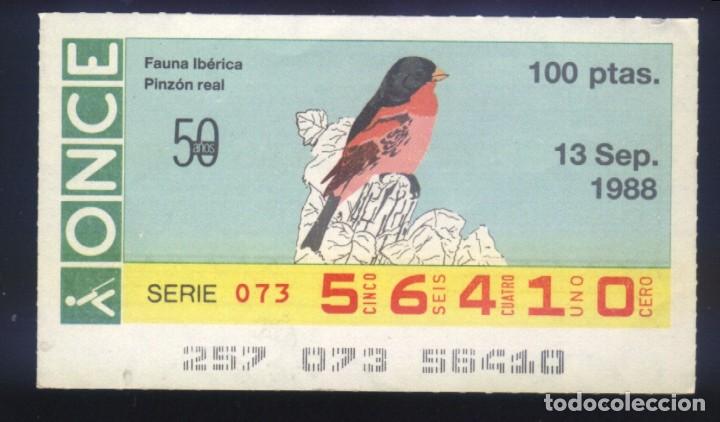 Cupones ONCE: A-8054- CUP&Oacute;N ONCE. 13 SEPTIEMBRE 1988. FAUNA IB&Eacute;RICA, PINZ&Oacute;N REAL.