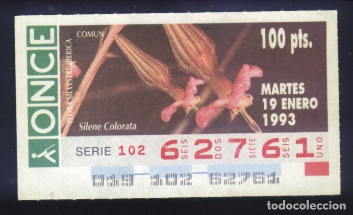 Cupones ONCE: A-8058- CUP&Oacute;N ONCE. 19 ENERO 1993. FLORA SILVESTRE IB&Eacute;RICA. SILENE COLORATA.