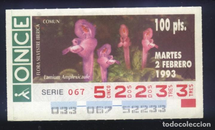 Cupones ONCE: A-8060- CUP&Oacute;N ONCE. 2 FEBRERO 1993. FLORA SILVESTRE IB&Eacute;RICA. LAMIUM AMPLEXICAULE.