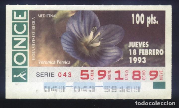 Cupones ONCE: A-8069- CUP&Oacute;N ONCE. 18 FEBRERO 1993. FLORA SILVESTRE IB&Eacute;RICA. VERONICA PERSICA.