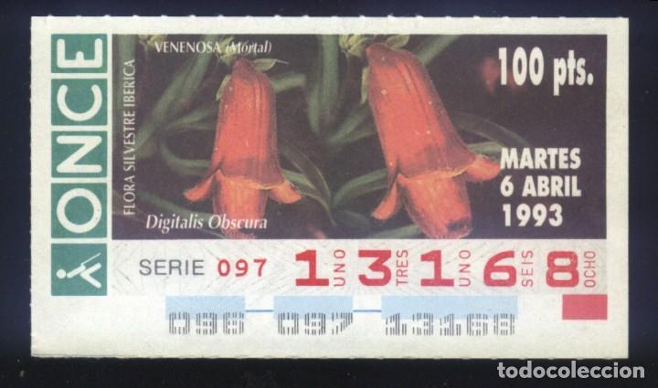 Coupon ONCE: A-8081- CUP&Oacute;N ONCE. 6 ABRIL 1993. FLORA SILVESTRE IB&Eacute;RICA. DIGITALIS OBSCURA.