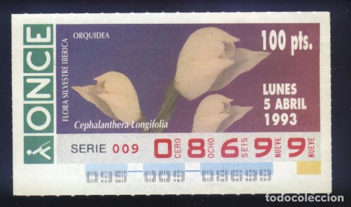 Coupon ONCE: A-8083- CUP&Oacute;N ONCE. 5 ABRIL 1993. FLORA SILVESTRE IB&Eacute;RICA. CEPHALANTHERA LONGIFOLIA.