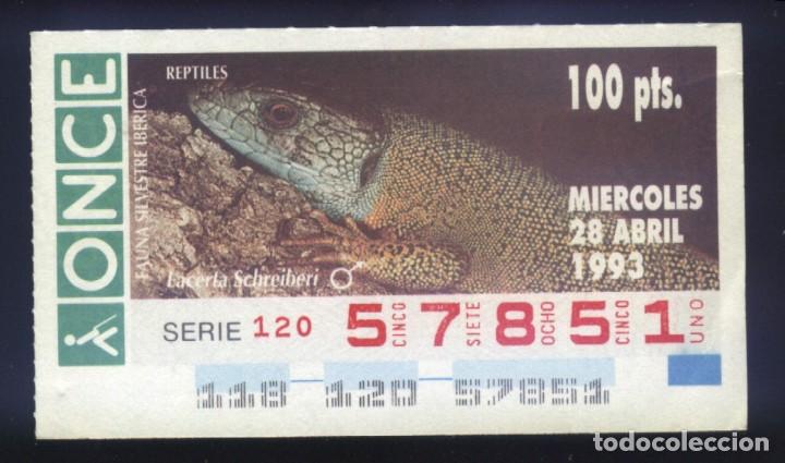 Coupon ONCE: A-8085- CUP&Oacute;N ONCE. 28 ABRIL 1993. FAUNA SILVESTRE IB&Eacute;RICA. REPTILES. LACERTA SCHREIBERI.