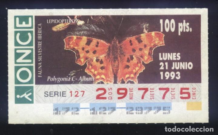 Cupones ONCE: A-8105- CUP&Oacute;N ONCE. 21 JUNIO 1993. FAUNA SILVESTRE IB&Eacute;RICA. LEPIDOPTEROS. POLYGONIA C - ALBUM.