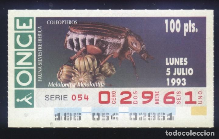 Cupones ONCE: A-8111- CUP&Oacute;N ONCE. 5 JULIO 1993. FAUNA SILVESTRE IB&Eacute;RICA. COLEOPTEROS. MELOLONTHA MELOLONTHA.