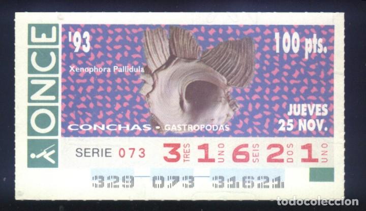 Cupones ONCE: A-8121- CUP&Oacute;N ONCE. 25 NOVIEMBRE 1993. CONCHAS GASTROPODAS, XENAPHORA PALLIDULA.