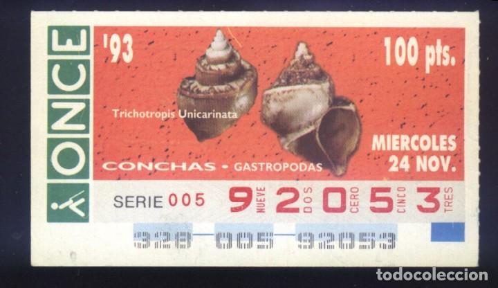 Cupones ONCE: A-8122- CUP&Oacute;N ONCE. 24 NOVIEMBRE 1993. CONCHAS GASTROPODAS, TRICHOTROPIS UNICARINATA.