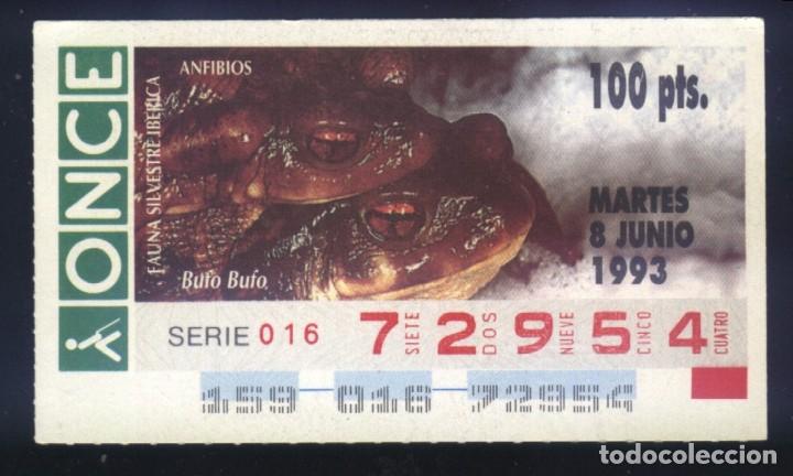 Cupones ONCE: A-8184- CUP&Oacute;N ONCE. 8 JUNIO 1993. FAUNA SILVESTRE IB&Eacute;RICA. ANFIBIOS. BUTO BUFO.