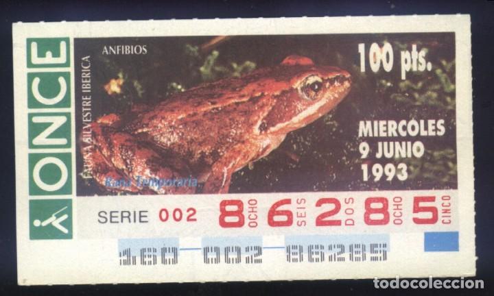 Cupones ONCE: A-8187- CUP&Oacute;N ONCE. 9 JUNIO 1993. FAUNA SILVESTRE IB&Eacute;RICA. ANFIBIOS. RANA TEMPORARIA.