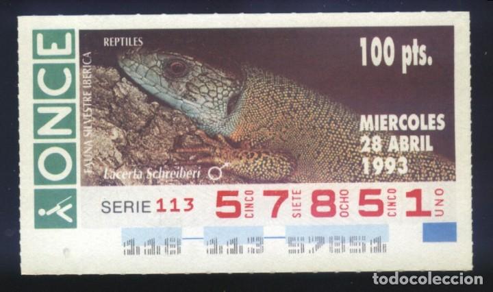 Cupones ONCE: A-8212- CUP&Oacute;N ONCE. 28 ABRIL 1993. FAUNA SILVESTRE IB&Eacute;RICA. REPTILES. LACERTA SCHREIBERI.
