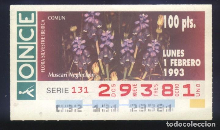 Cupones ONCE: A-8213- CUP&Oacute;N ONCE. 1 FEBRERO 1993. FLORA SILVESTRE IB&Eacute;RICA. MUSCARI NEGLECTUM.