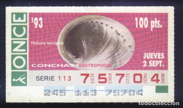 Cupones ONCE: A-8217- CUP&Oacute;N ONCE. 2 SEPTIEMBRE 1993. CONCHAS GASTROPODAS. HALIOTIS LAEVIGATA.