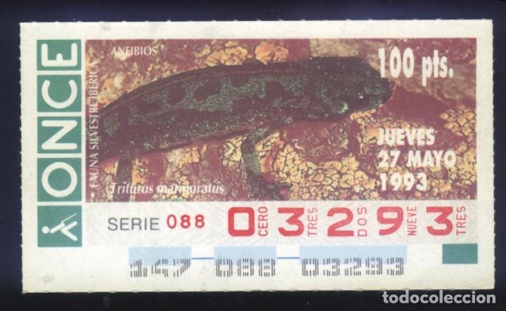 Cupones ONCE: A-8292- CUP&Oacute;N ONCE. 27 MAYO 1993. FAUNA SILVESTRE IB&Eacute;RICA. ANFIBIOS. TRITURUS MARMORATUS.