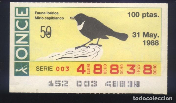 ONCE Coupons: A-8353- CUP&Oacute;N ONCE. 31 MAYO 1988. FAUNA IBERICA. MIRLO CAPIBLANCO.