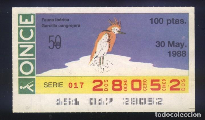 ONCE Coupons: A-8354- CUP&Oacute;N ONCE. 30 MAYO 1988. FAUNA IB&Eacute;RICA. GARCILLA CANGREJERA.