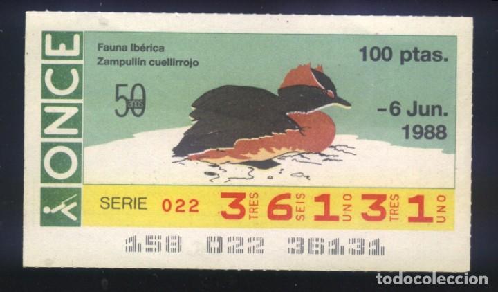 ONCE Coupons: A-8355- CUP&Oacute;N ONCE. 6 JUNIO 1988. FAUNA IB&Eacute;RICA. ZAMPULLIN CUELLIROJO.