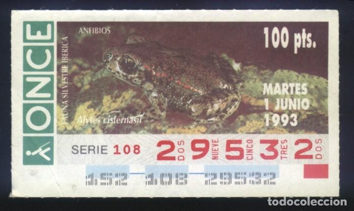 Cupones ONCE: A-8482- CUP&Oacute;N ONCE. 1 JUNIO 1993. FAUNA SILVESTRE IB&Eacute;RICA. ANFIBIOS. ALYTES CISTERNASII.