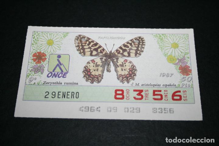 Bilhetes ONCE: CUP&Oacute;N ONCE - 29 ENERO 1987 - PAPILI&Oacute;NIDOS, M. ARISTOLOQUIAS ESPA&Ntilde;OLA