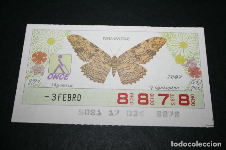 Bilhetes ONCE: CUP&Oacute;N ONCE - 3 FEBRERO 1987 - PHALANIDAE, AGRIPPINA