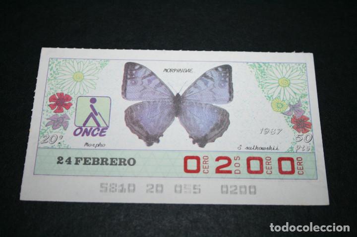 Cupones ONCE: CUP&Oacute;N ONCE - 24 FEBRERO 1987 - MORPHYDAE, SULKOWSKII - Foto 1
