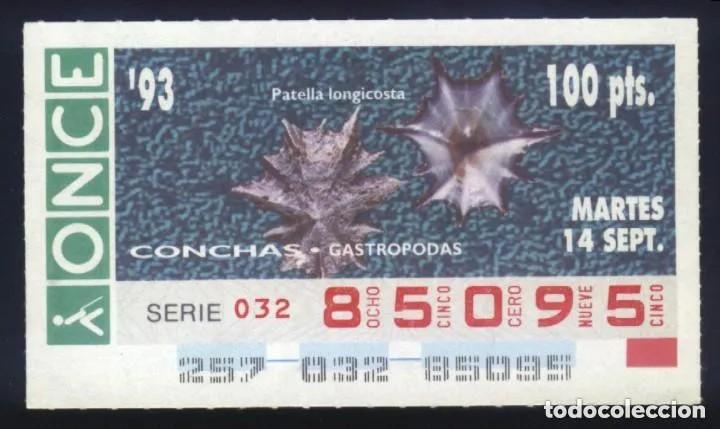 Cupones ONCE: A-8620- CUP&Oacute;N ONCE. 14 SEPTIEMBRE 1993. CONCHAS. GASTROPODAS. PATELLA LONGICOSTA.