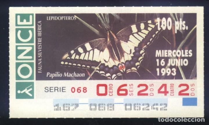 Cupones ONCE: A-8622- CUP&Oacute;N ONCE. 16 JUNIO 1993. FAUNA SILVESTRE IB&Eacute;RICA. LEPIDOPTEROS. PAPILIO MACHAON.