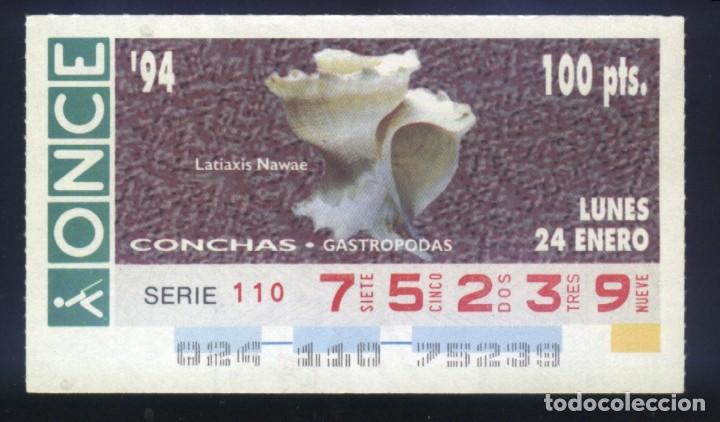 Cupones ONCE: A-8629- CUP&Oacute;N ONCE. 24 ENERO 1994. CONCHAS GASTROPODAS, LATIAXIS NAWAE.
