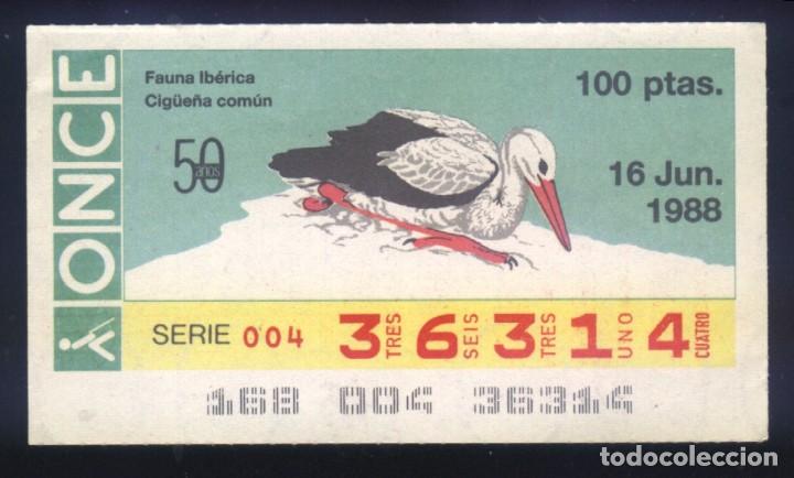 Cupones ONCE: A-8678- CUP&Oacute;N ONCE. 16 JUNIO 1988. FAUNA IBERICA. CIG&Uuml;E&Ntilde;A COM&Uacute;N.